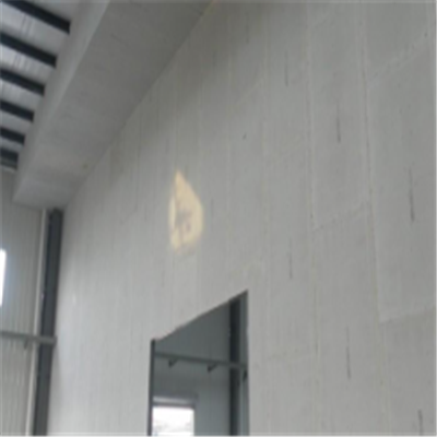白银宁波ALC板|EPS加气板隔墙与混凝土整浇联接的实验研讨